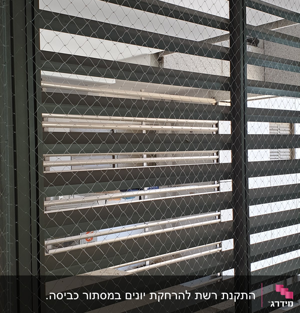 רשת מתכת על תריסים למניעת כניסת יונים